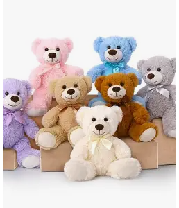 Soft Toys / Teddy Bear (Small/Med)